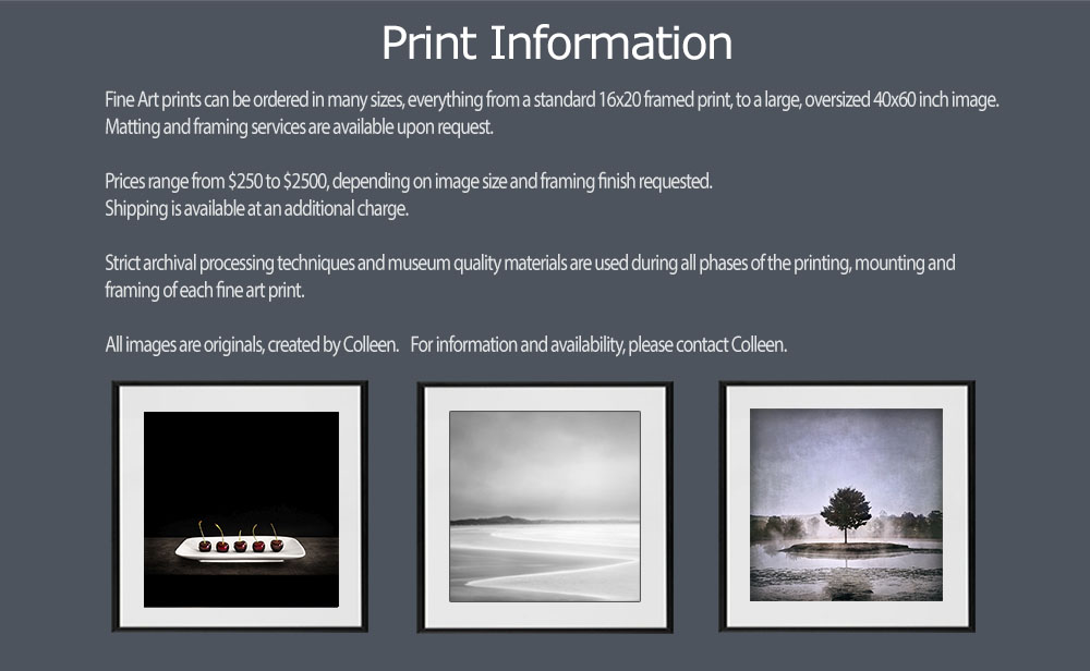 How to Purchase Fine Art Prints